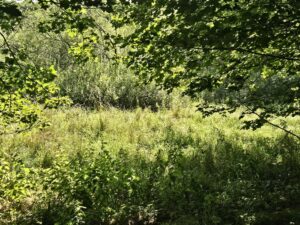 20250812_162542 (Copy)